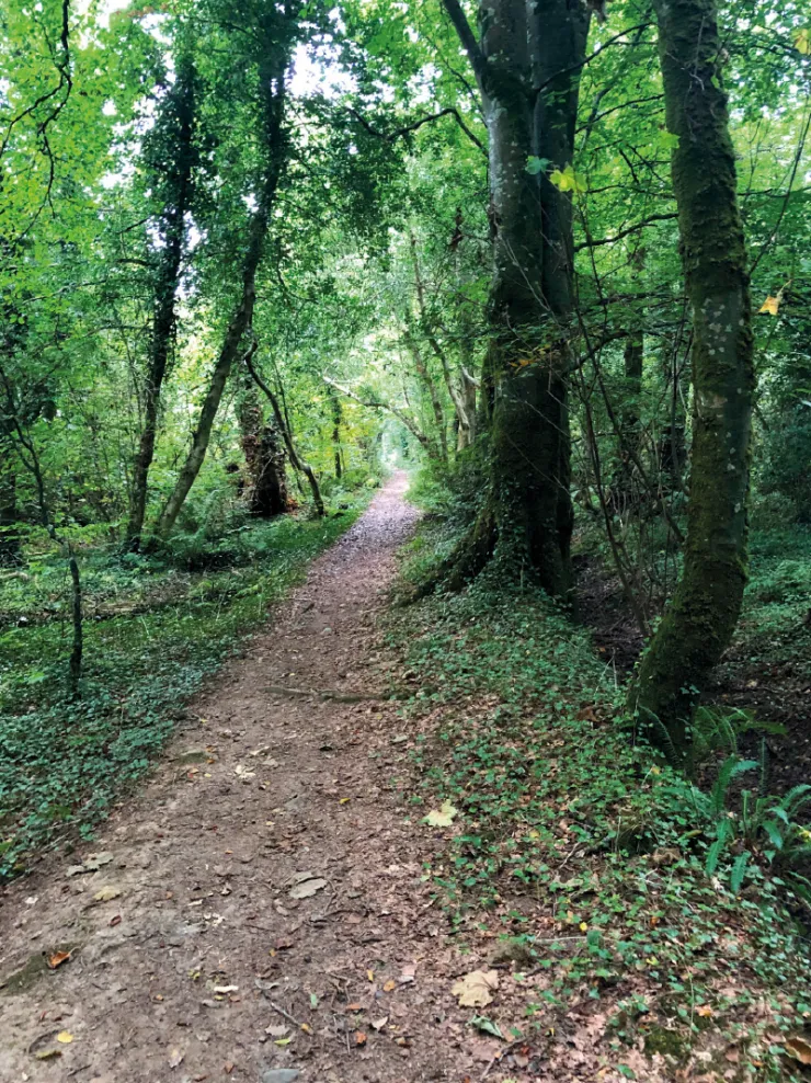 Aghadoe House Grounds